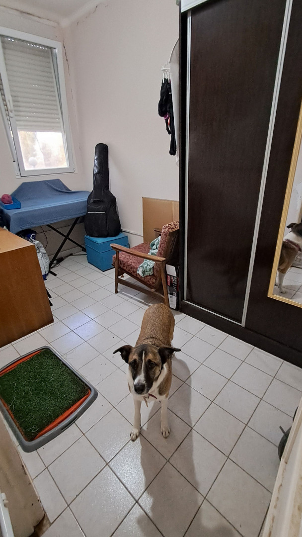 Departamento en Venta en Balboa 3000, Rosendo Lopez, Bahía Blanca - Bahía Blanca Propiedades | SITIO OFICIAL l