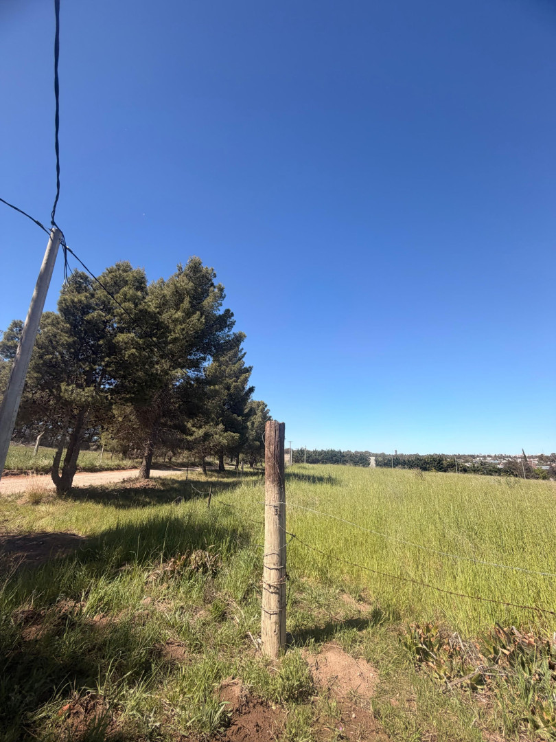 Terreno en Venta en Las Golondrinas Y El Resero, San Carlos, Bahía Blanca - Bahía Blanca Propiedades | SITIO OFICIAL l
