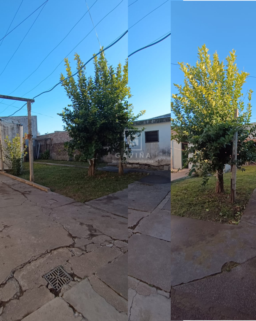 Casa en Venta en Jujuy 724 , Noroeste, Bahía Blanca - Bahía Blanca Propiedades | SITIO OFICIAL l