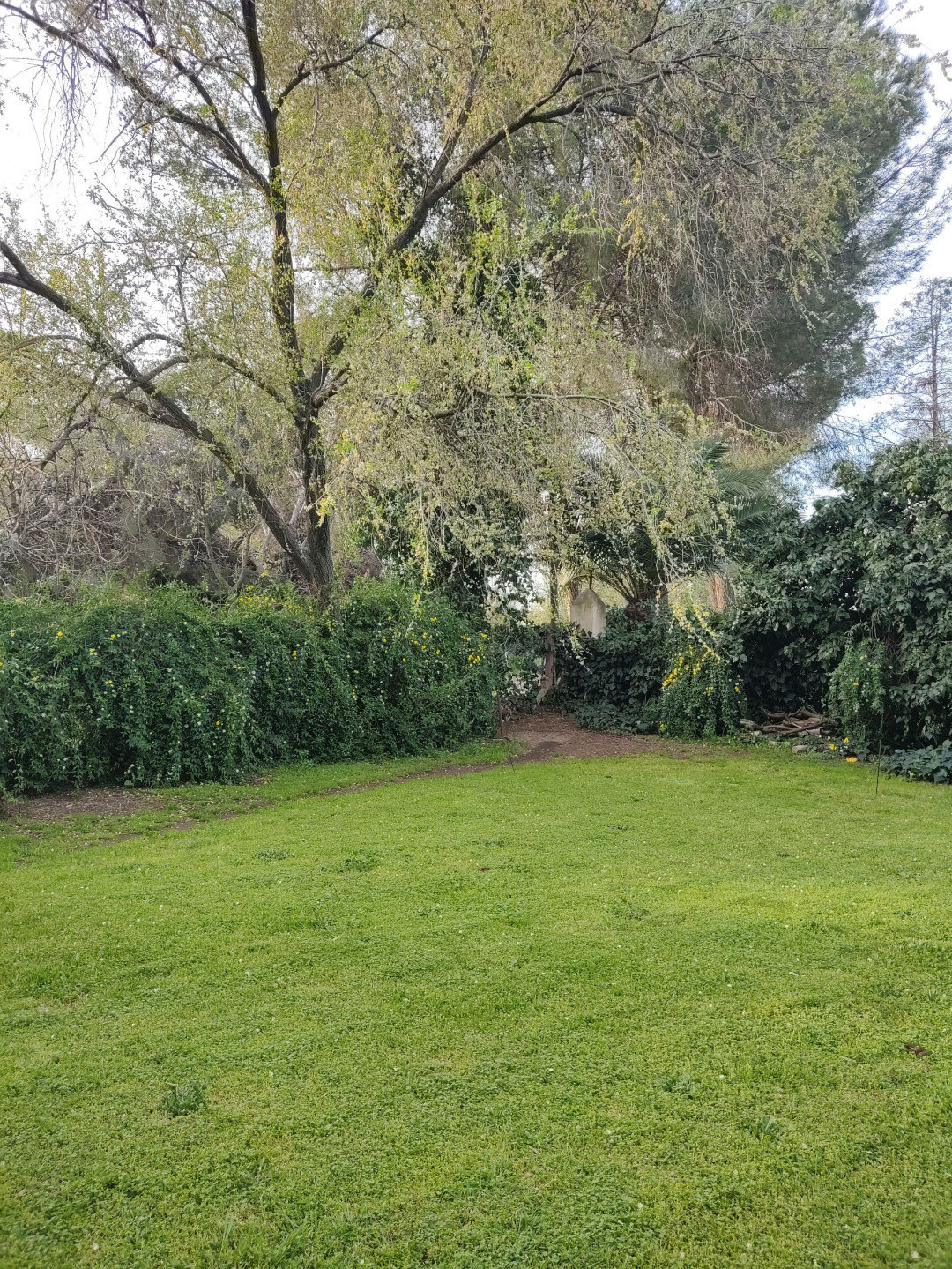Terreno en Venta en Milun Y Calquin, Patagonia, Bahía Blanca - Bahía Blanca Propiedades | SITIO OFICIAL l