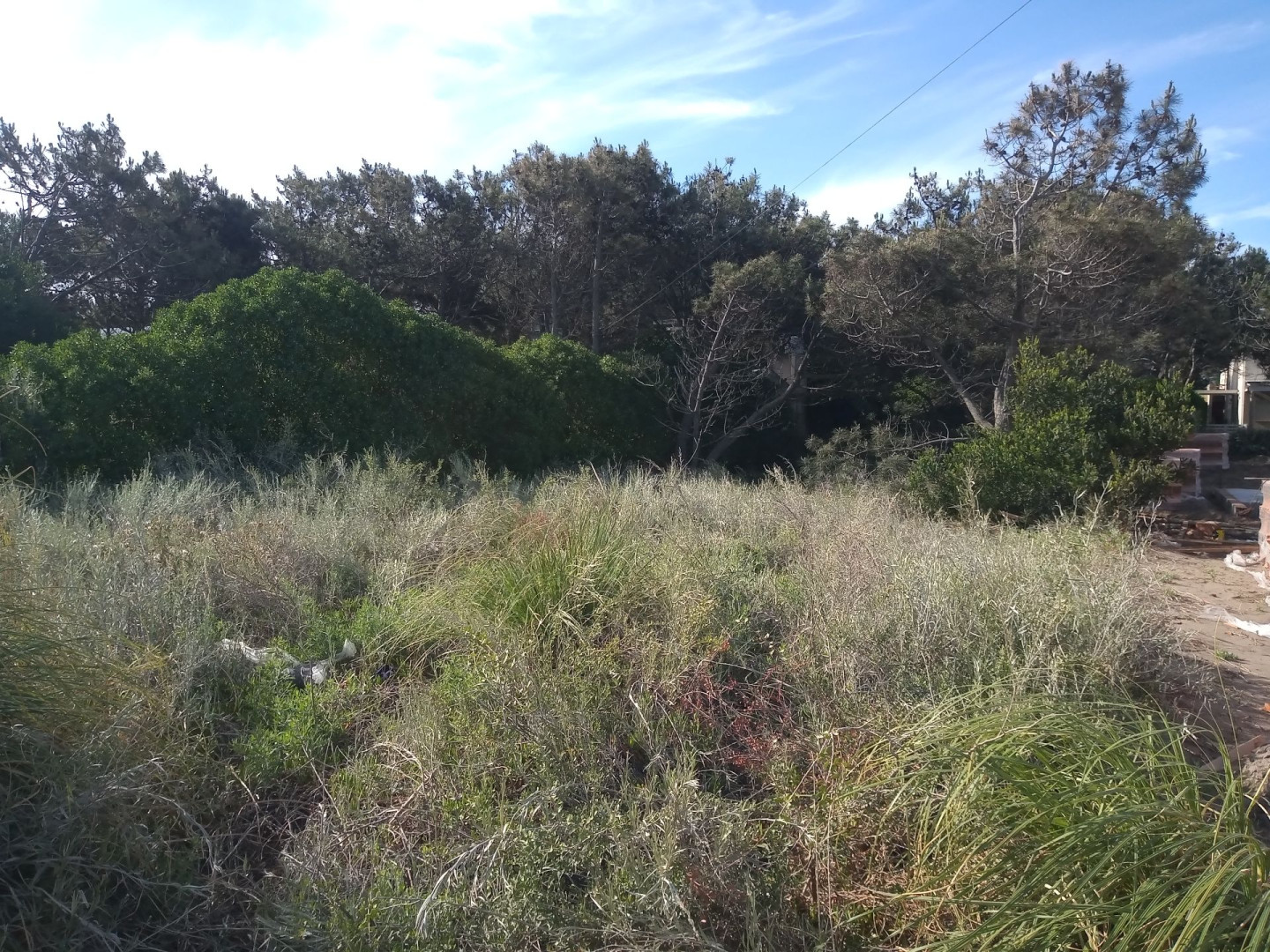 Terreno en Venta en Costanera Y Soldani, Las Dunas, Monte Hermoso - Bahía Blanca Propiedades | SITIO OFICIAL l