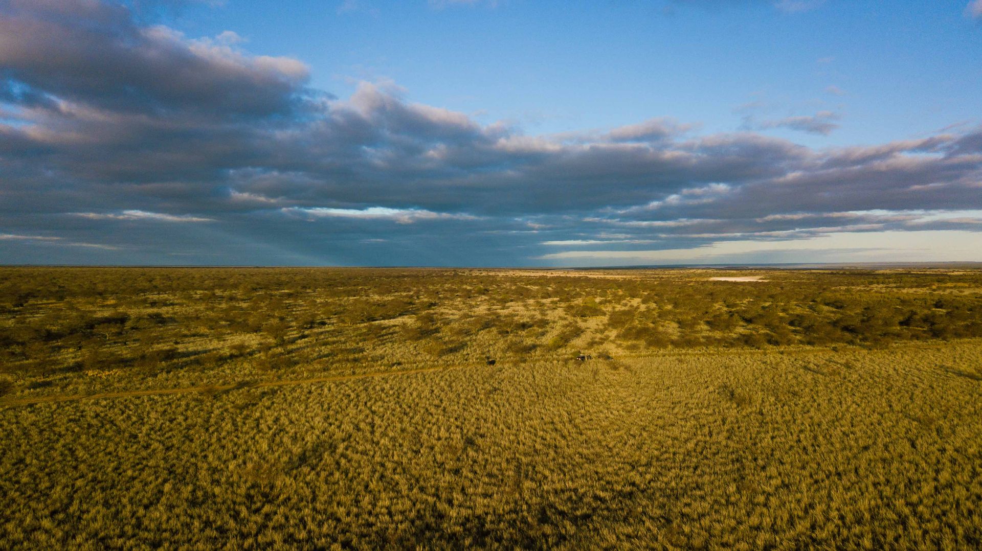 Campo  en Venta   Bernasconi - Bahía Blanca Propiedades | SITIO OFICIAL l