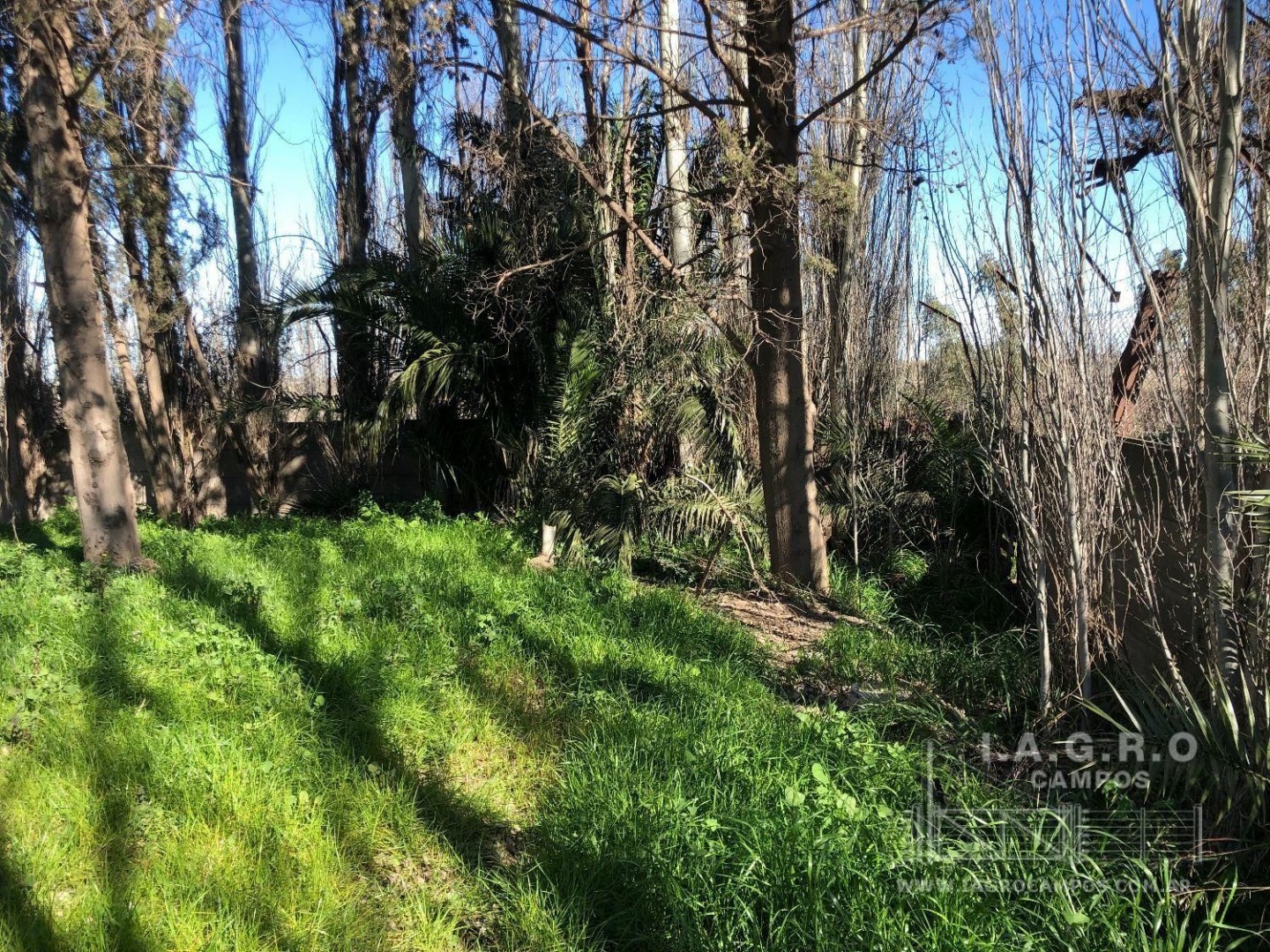 Galpón en Venta en Rincon 4000, Rosendo Lopez, Bahía Blanca - Bahía Blanca Propiedades | SITIO OFICIAL l