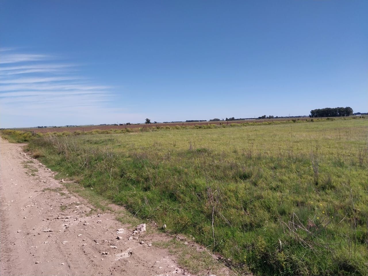 Terreno en Venta   Coronel Dorrego - Bahía Blanca Propiedades | SITIO OFICIAL l