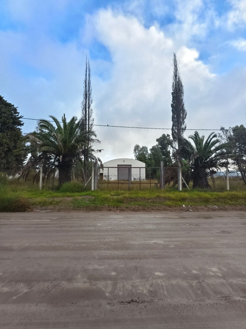 Terreno en Alquiler en Calle 16,  Pedro Luro - Bahía Blanca Propiedades | SITIO OFICIAL l