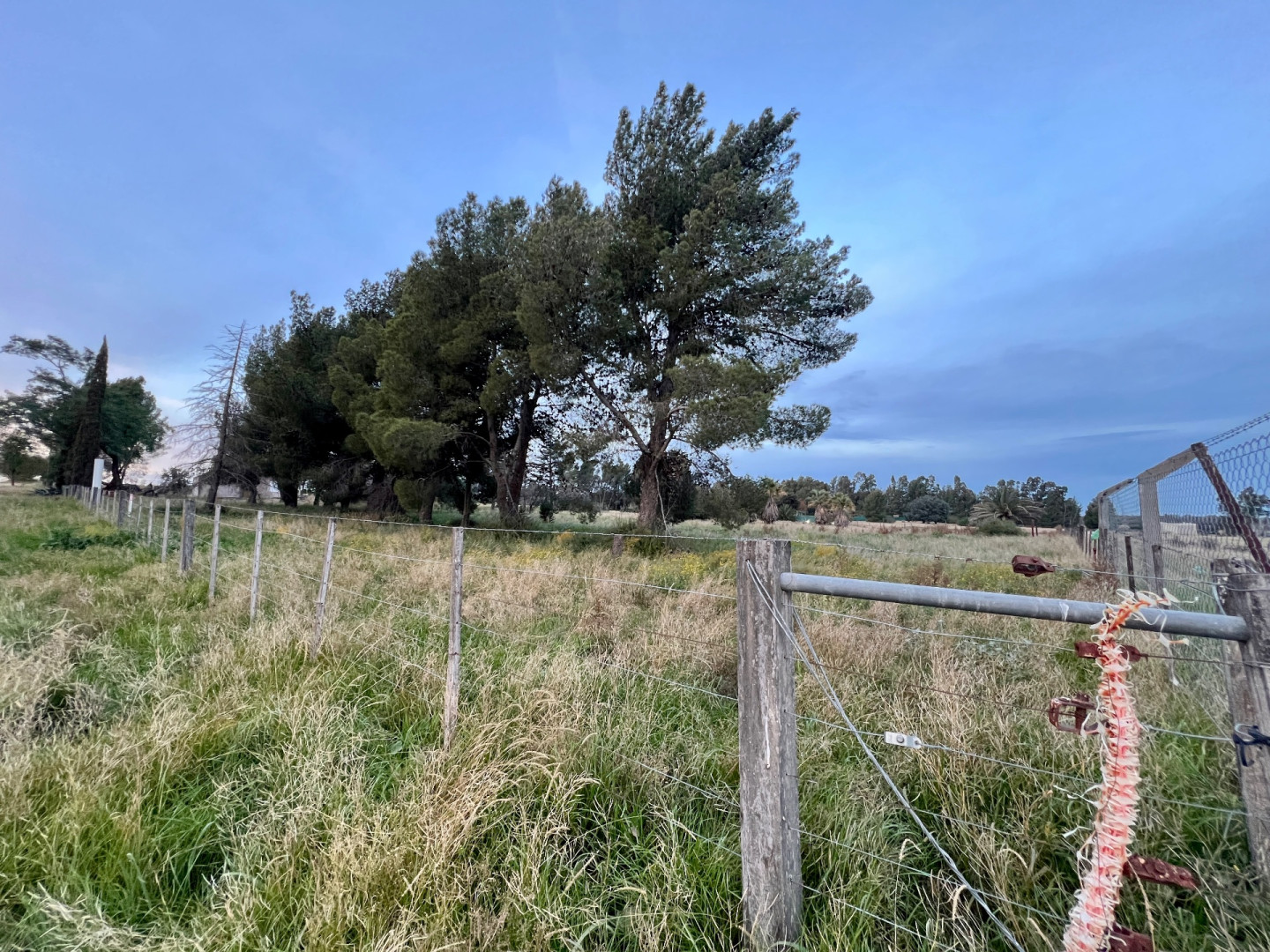 Terreno en Venta en Esteban Rigamonti 1895, Villa Belgrano, Bahía Blanca - Bahía Blanca Propiedades | SITIO OFICIAL l