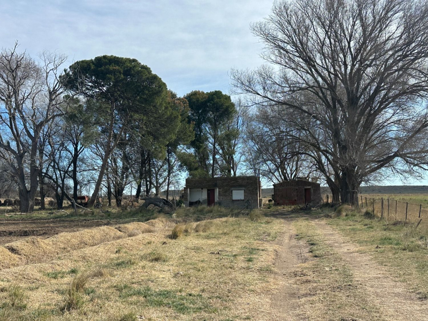 Campo  en Venta en Pedro Luro,  Pedro Luro - Bahía Blanca Propiedades | SITIO OFICIAL l