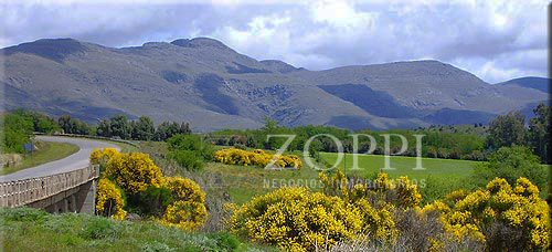 Terreno en Venta en San Andres De Las Sierras,  Tornquist - Bahía Blanca Propiedades | SITIO OFICIAL l