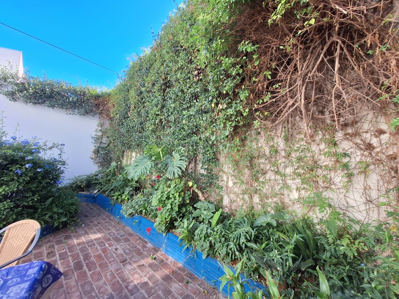 Casa en Venta en Alvarado 333, Macrocentro, Bahía Blanca - Bahía Blanca Propiedades | SITIO OFICIAL l