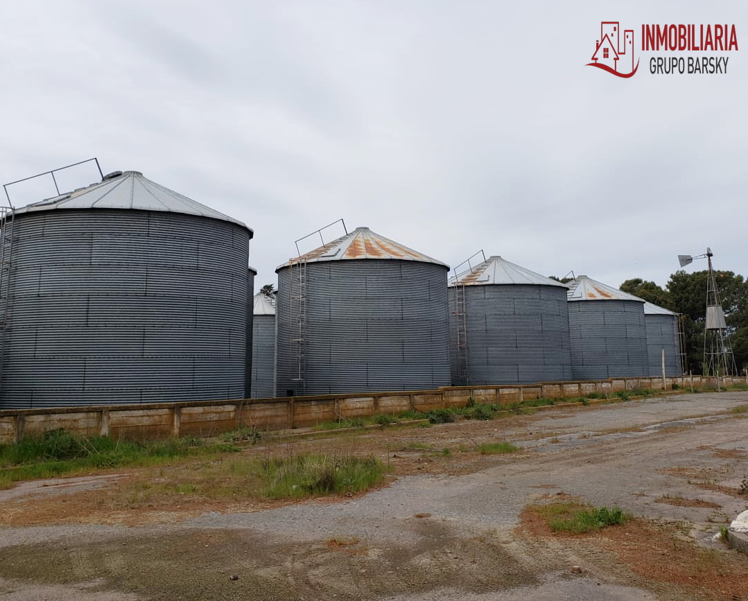 Campo  en Venta   Coronel Dorrego - Bahía Blanca Propiedades | SITIO OFICIAL l