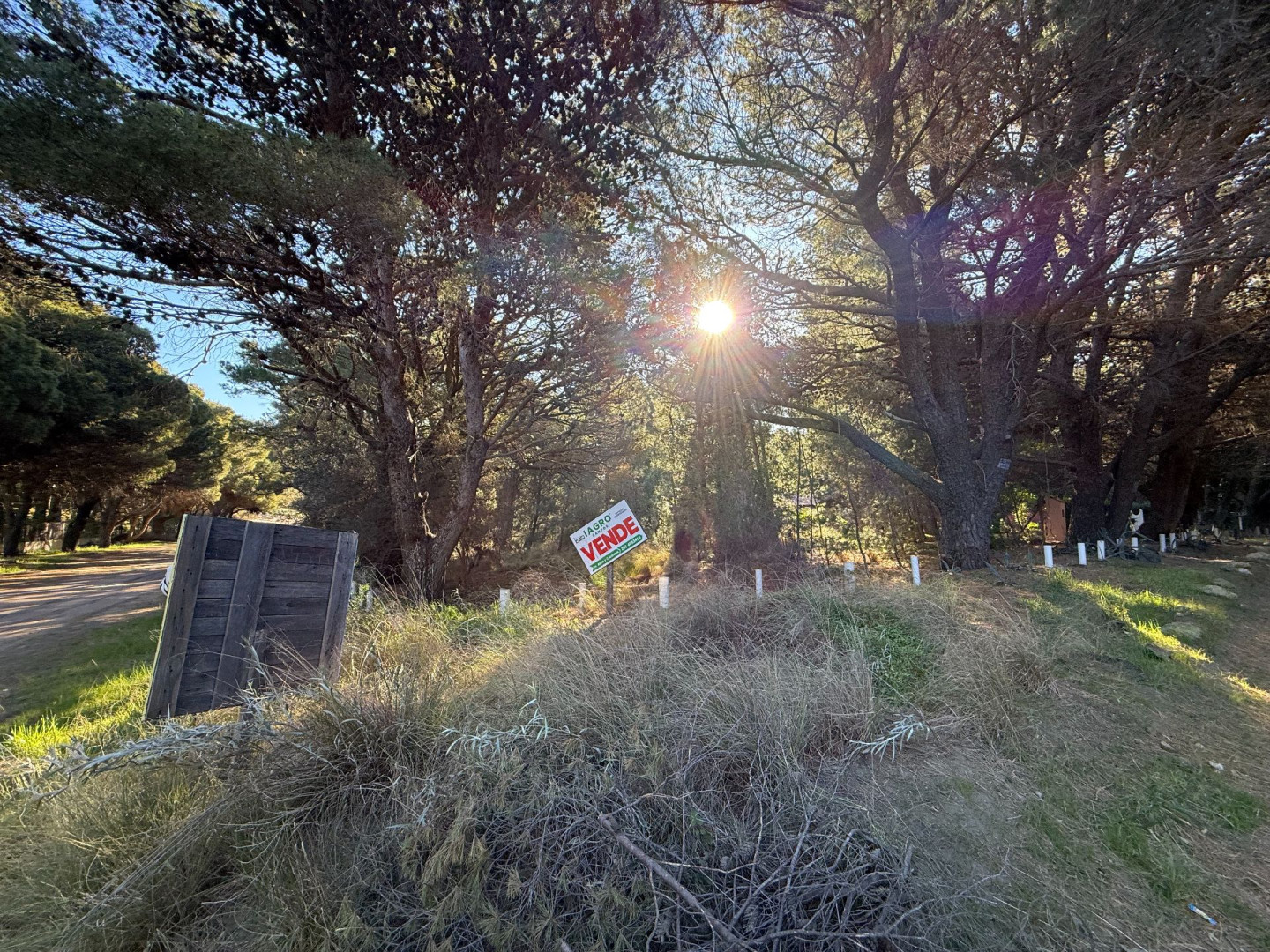 Terreno en Venta en Calle 8  Y Calle 1,  Pehuen Co - Bahía Blanca Propiedades | SITIO OFICIAL l