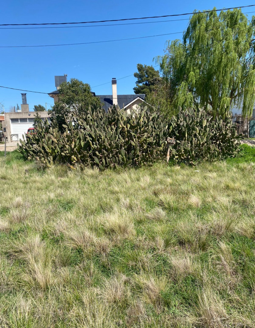 Terreno en Venta  Patagonia, Bahía Blanca - Bahía Blanca Propiedades | SITIO OFICIAL l