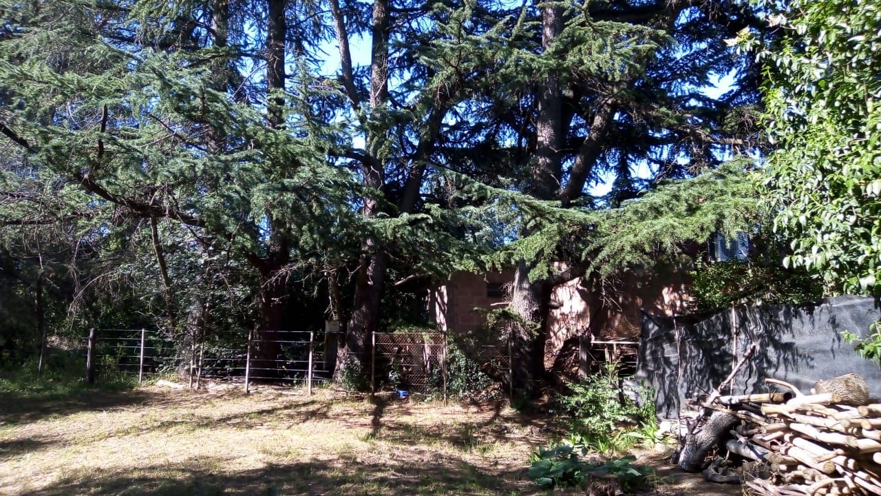Terreno en Venta en Tres Picos 630,  Sierra de  la Ventana - Bahía Blanca Propiedades | SITIO OFICIAL l