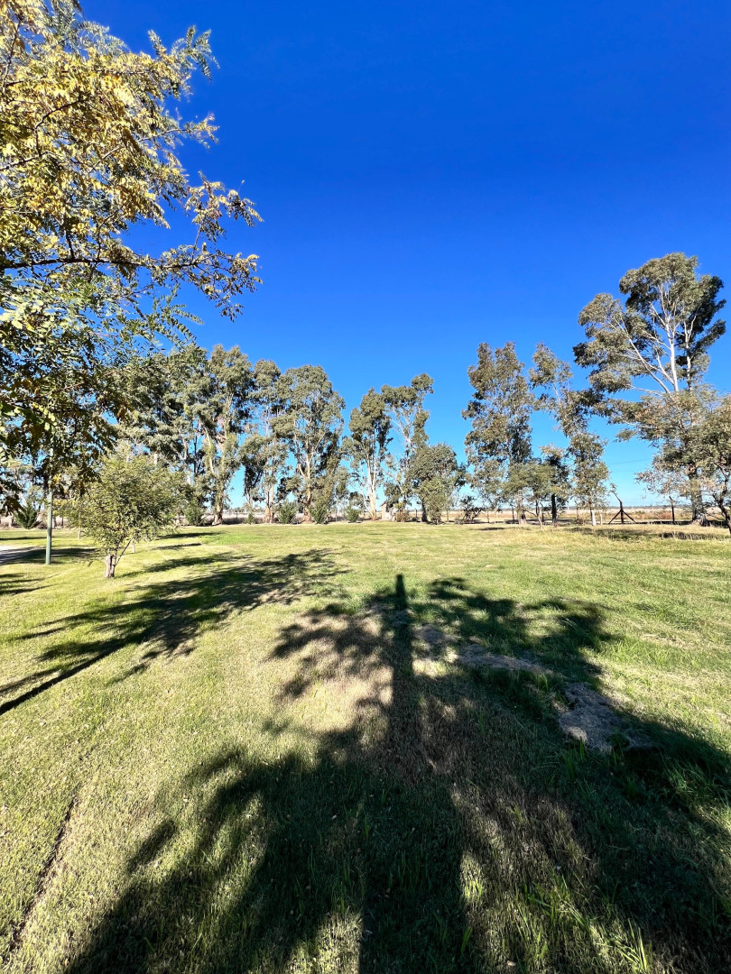Terreno en Venta en Terreno 347, Pago Chico, Bahía Blanca - Bahía Blanca Propiedades | SITIO OFICIAL l