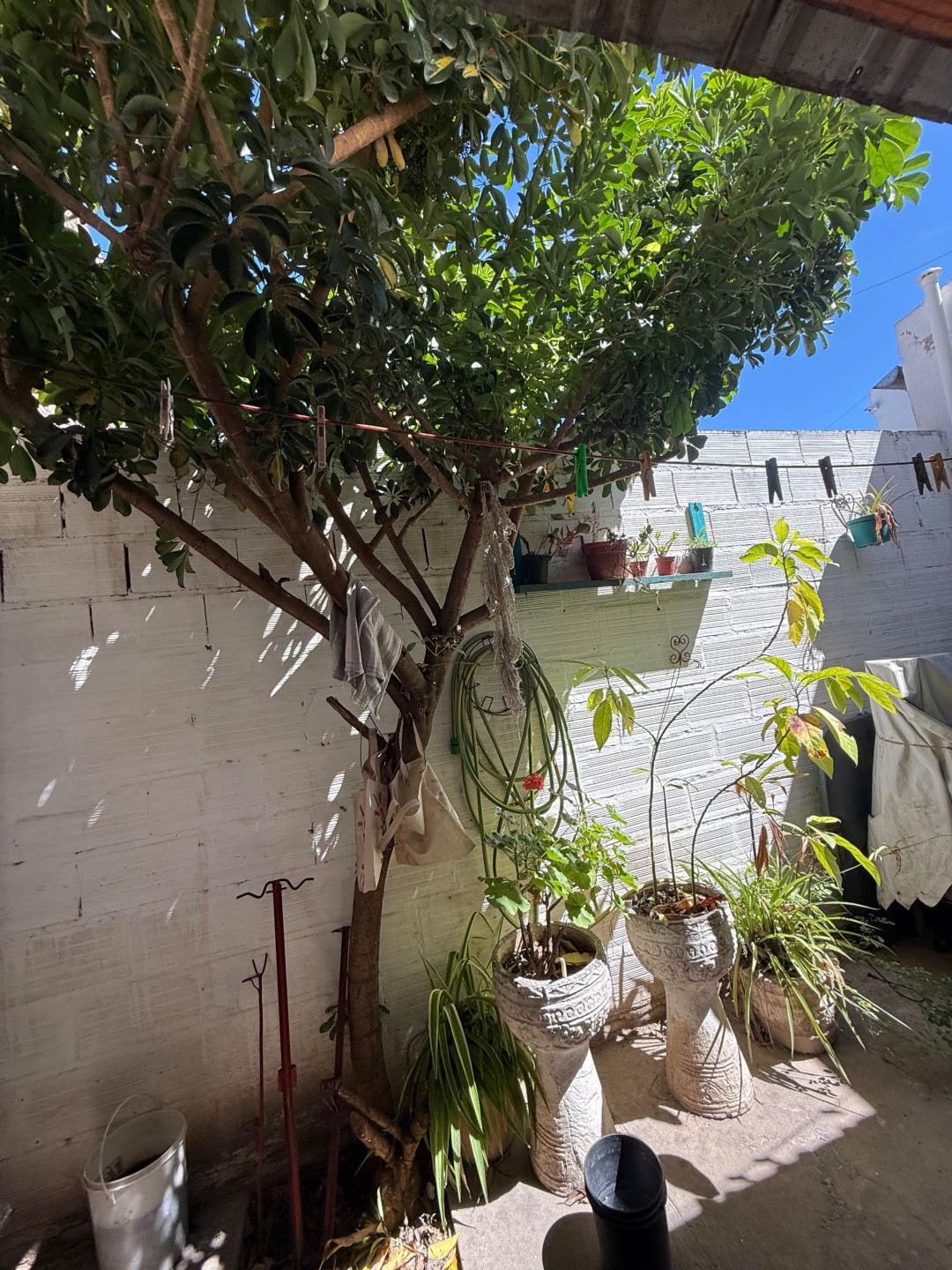 Departamento en Venta en Punta Alta 300, Villa Mitre, Bahía Blanca - Bahía Blanca Propiedades | SITIO OFICIAL l