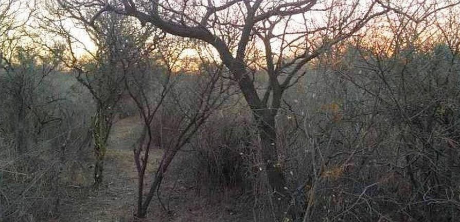 Terreno en Venta en Las Vertientes,  Córdoba - Bahía Blanca Propiedades | SITIO OFICIAL l