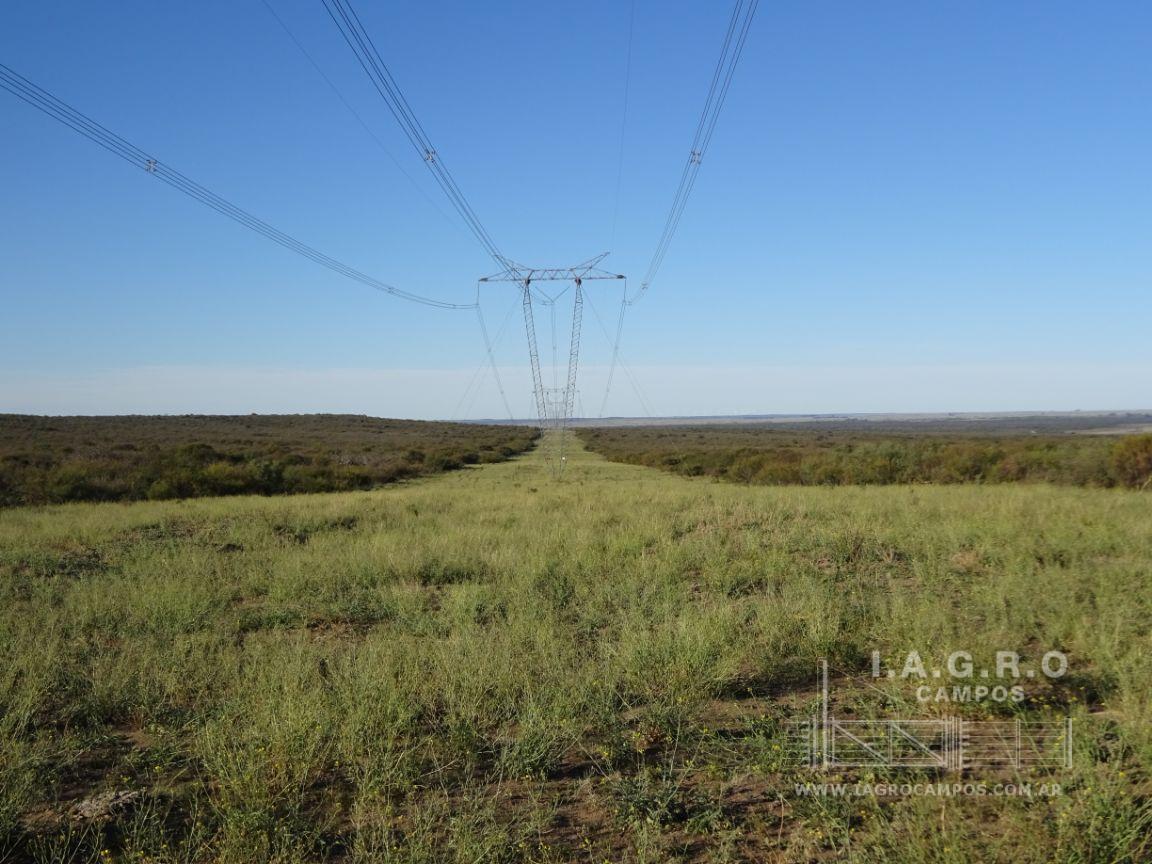 Campo  en Venta en Partido De Villarino,  Villarino - Bahía Blanca Propiedades | SITIO OFICIAL l