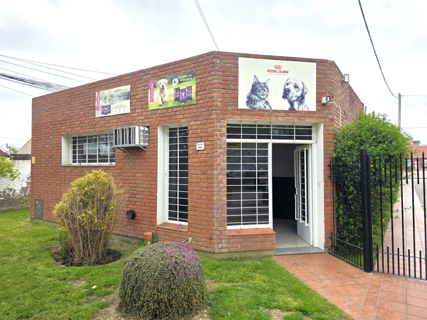 Oficina en Alquiler en Espeche 1040, Villa del Parque, Bahía Blanca - Bahía Blanca Propiedades | SITIO OFICIAL l