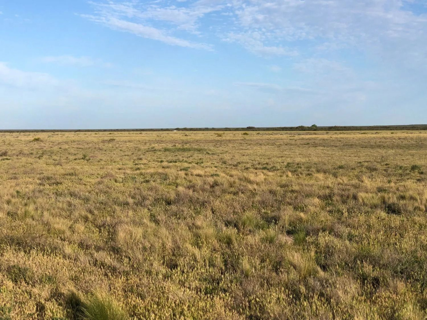 Campo  en Venta en Ruta Provincial 34,  Lihuel Calel - La Pampa - Bahía Blanca Propiedades | SITIO OFICIAL l