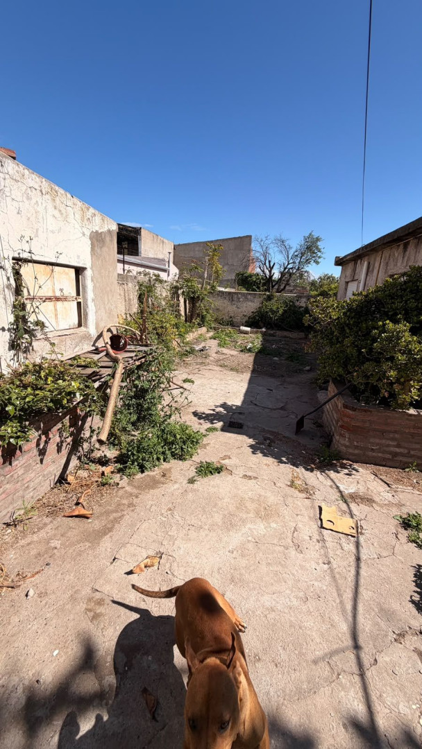 Casa en Venta en French 1125, Pedro Pico, Bahía Blanca - Bahía Blanca Propiedades | SITIO OFICIAL l