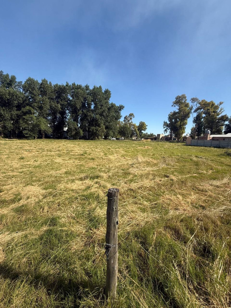 Terreno en Venta en Avenida Arias 1600, Rosario Vera Peñaloza , Bahía Blanca - Bahía Blanca Propiedades | SITIO OFICIAL l