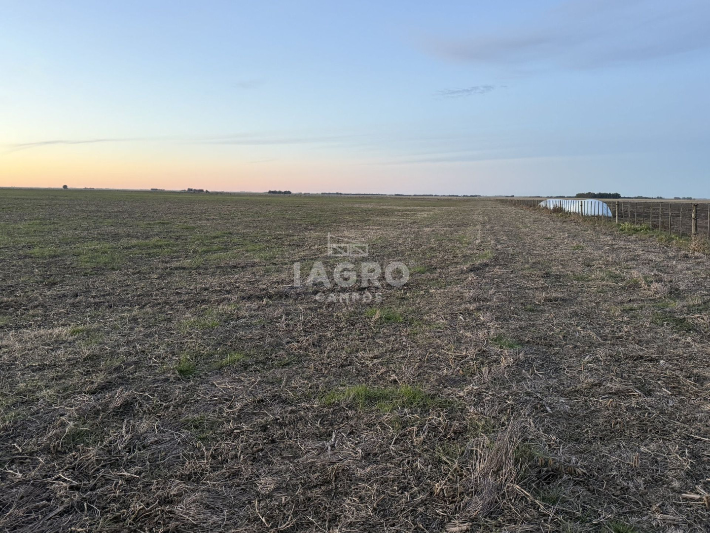 Campo  en Venta en Claudio Molina,  Tres Arroyos - Bahía Blanca Propiedades | SITIO OFICIAL l