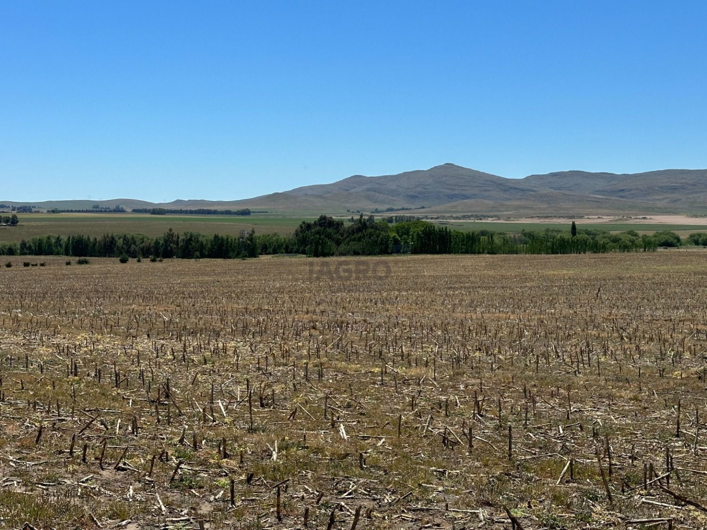 Campo  en Venta en Ruta 72,  Coronel Pringles - Bahía Blanca Propiedades | SITIO OFICIAL l