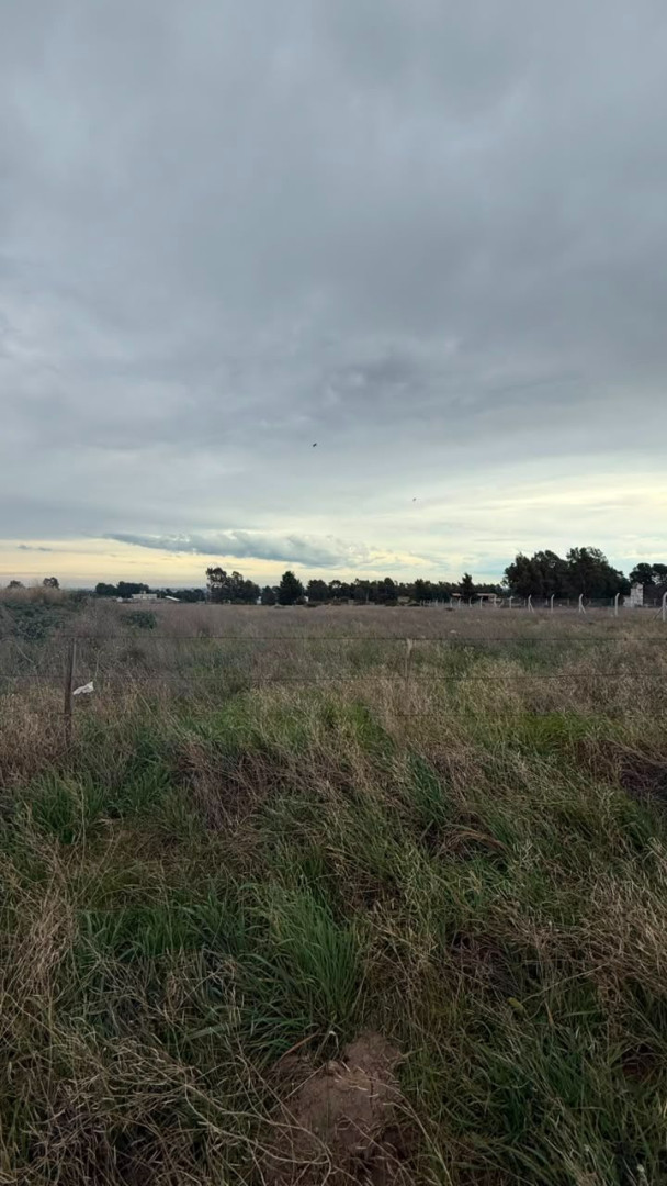 Terreno en Venta en Ernesto Che Guevara De La Serna 4108, Villa Belgrano, Bahía Blanca - Bahía Blanca Propiedades | SITIO OFICIAL l