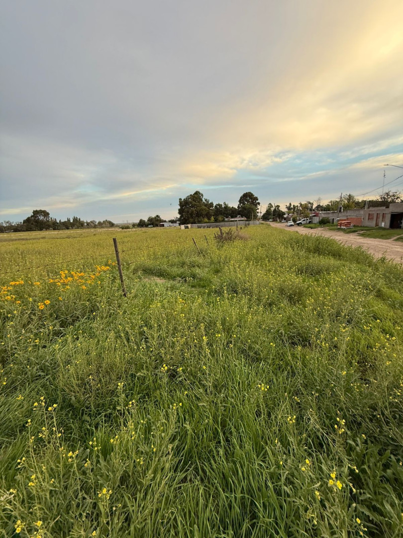 Terreno en Venta en Ambrosetti Entre La Rioja Y Formosa ,  Bahía Blanca - Bahía Blanca Propiedades | SITIO OFICIAL l
