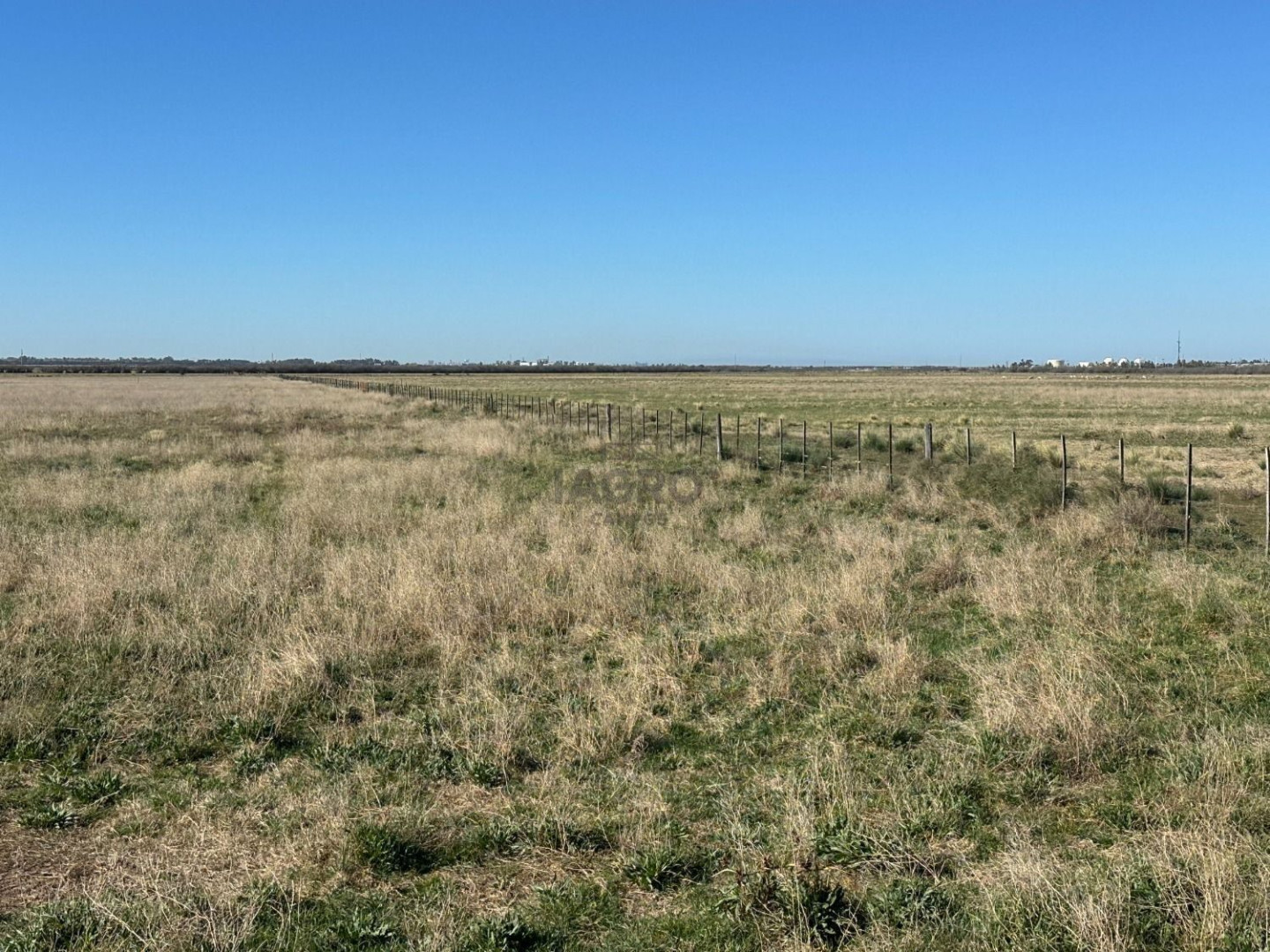 Campo  en Venta en Bahia Blanca,  Bahía Blanca - Bahía Blanca Propiedades | SITIO OFICIAL l