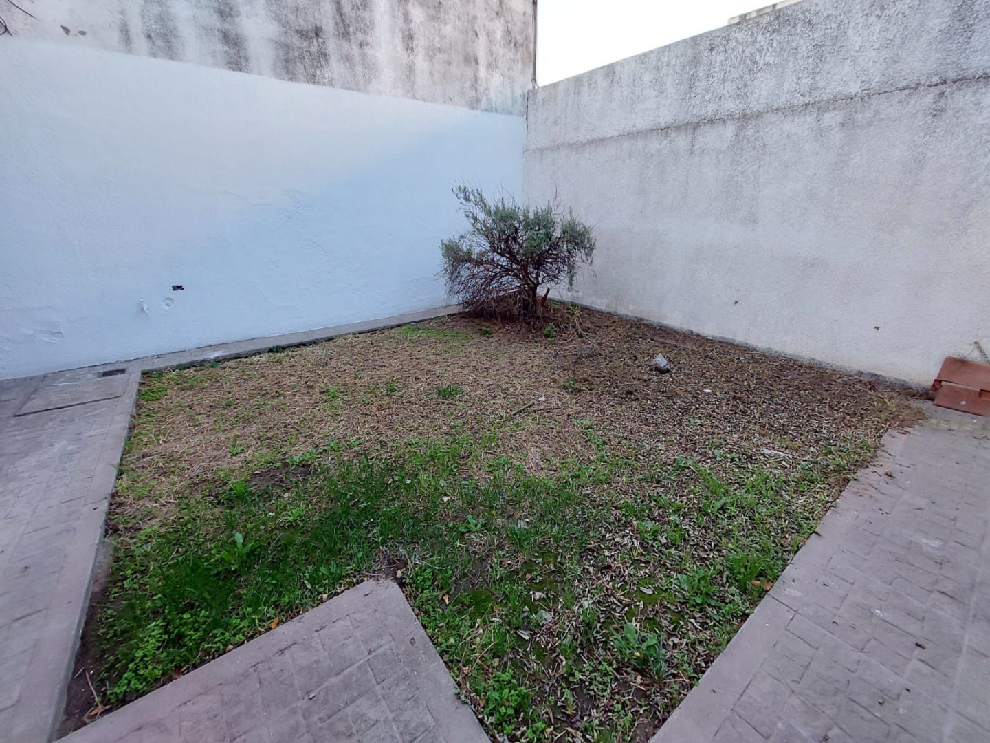 Casa en Alquiler en Corrientes 435, Macrocentro, Bahía Blanca - Bahía Blanca Propiedades | SITIO OFICIAL l