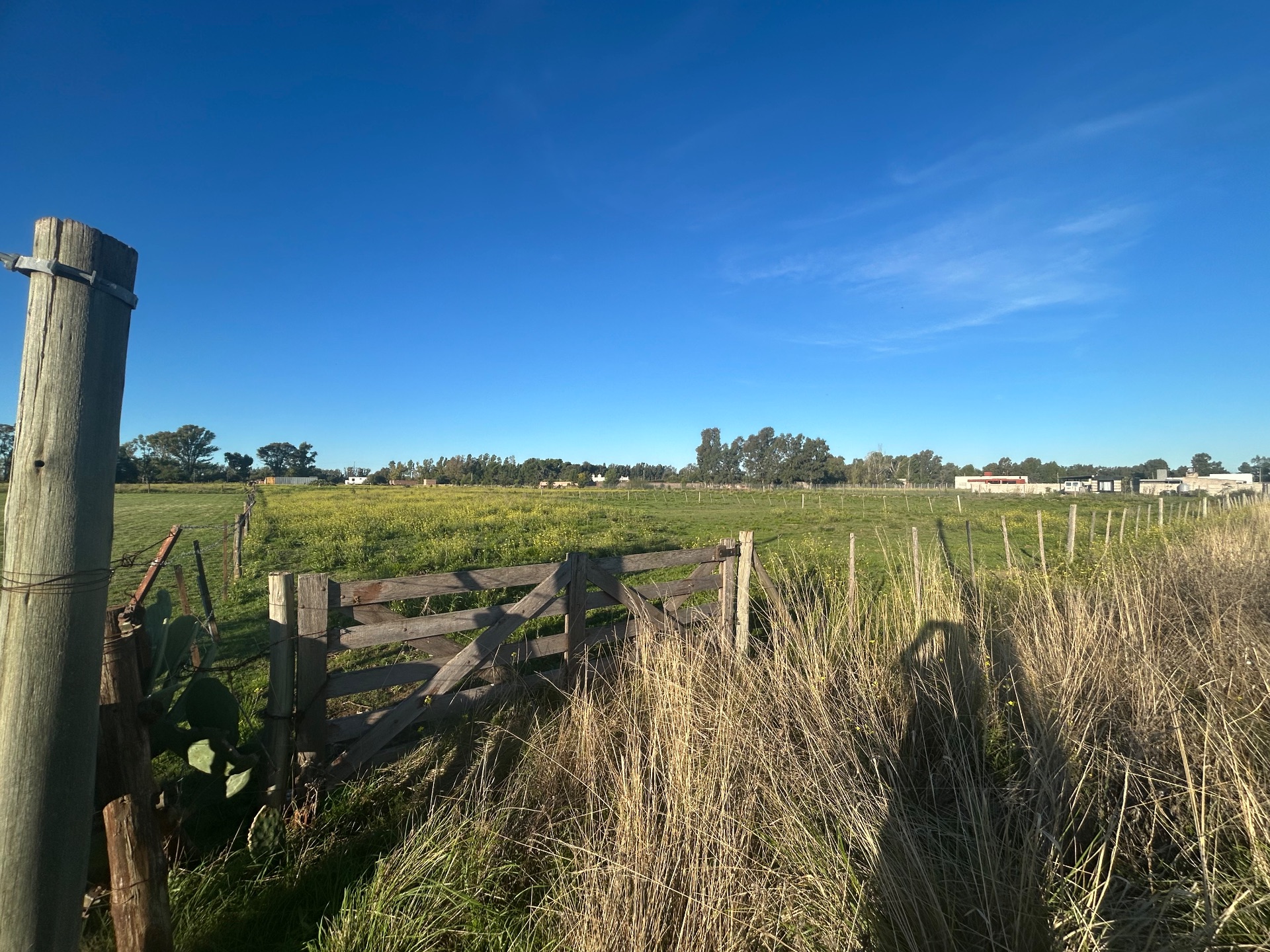 Terreno en Venta en Angel Marcos 700, Oro Verde, Bahía Blanca - Bahía Blanca Propiedades | SITIO OFICIAL l