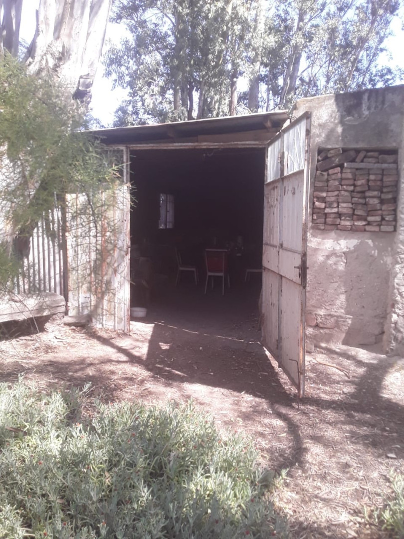 Campo  en Venta   Medanos - Bahía Blanca Propiedades | SITIO OFICIAL l