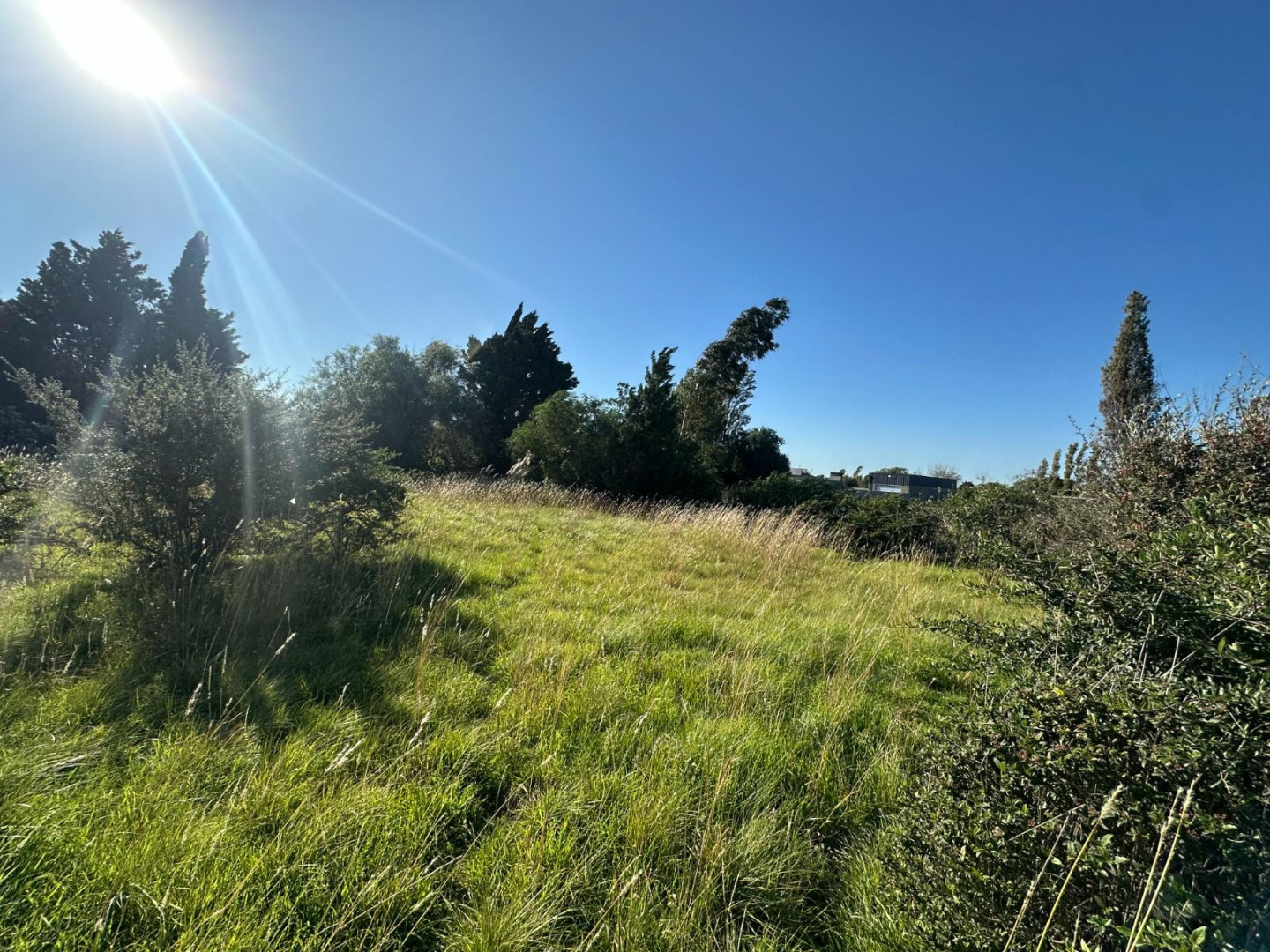 Terreno en Venta en Estanislao Lopez 3731, Paihuen, Bahía Blanca - Bahía Blanca Propiedades | SITIO OFICIAL l