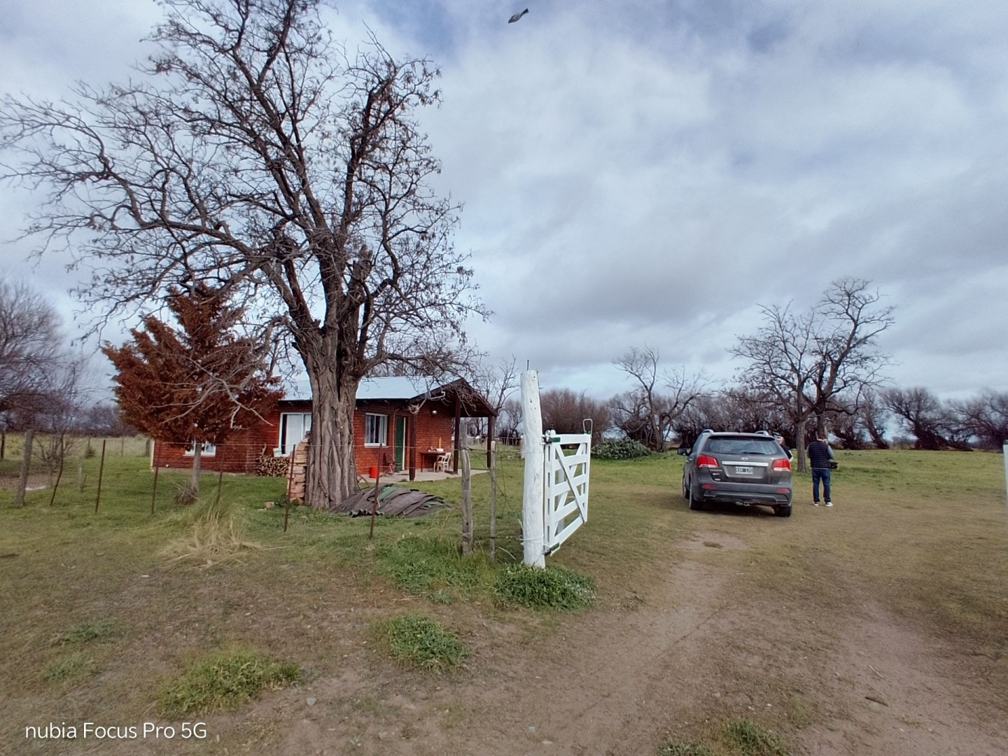 Campo  en Venta en Mayor Buratovich ,  Villarino - Bahía Blanca Propiedades | SITIO OFICIAL l