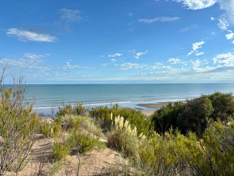 Terreno en Venta en Costanera Y Punta Indio, El Sauce, Monte Hermoso - Bahía Blanca Propiedades | SITIO OFICIAL l