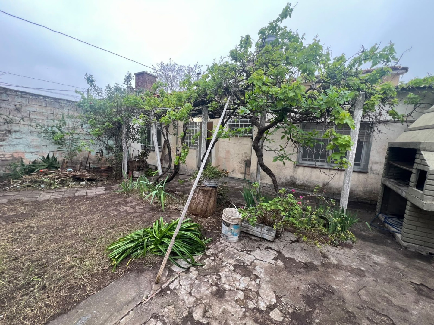 Casa en Alquiler en Falcon 435, San Martin, Bahía Blanca - Bahía Blanca Propiedades | SITIO OFICIAL l