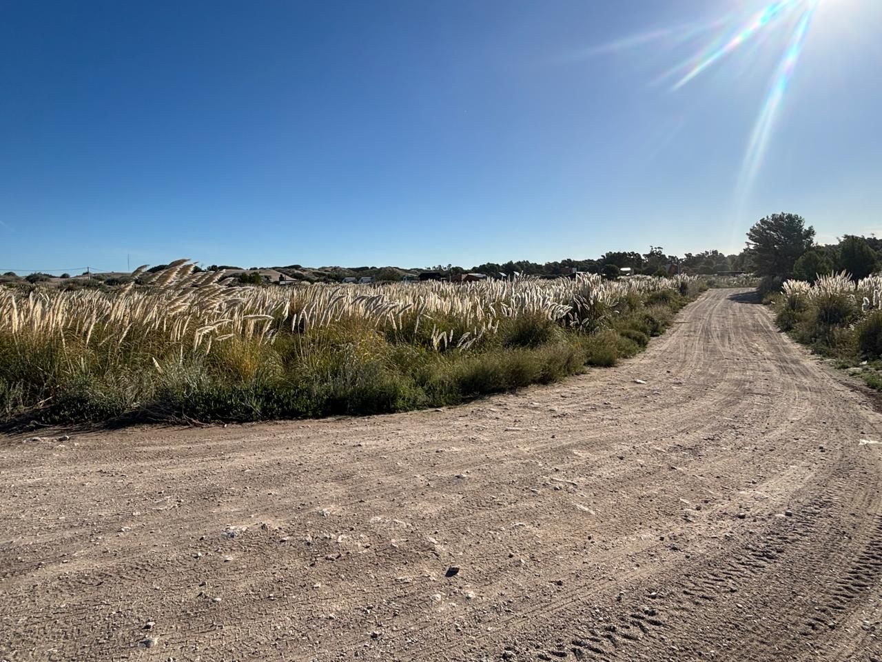 Terreno en Venta  El Sauce, Monte Hermoso - Bahía Blanca Propiedades | SITIO OFICIAL l