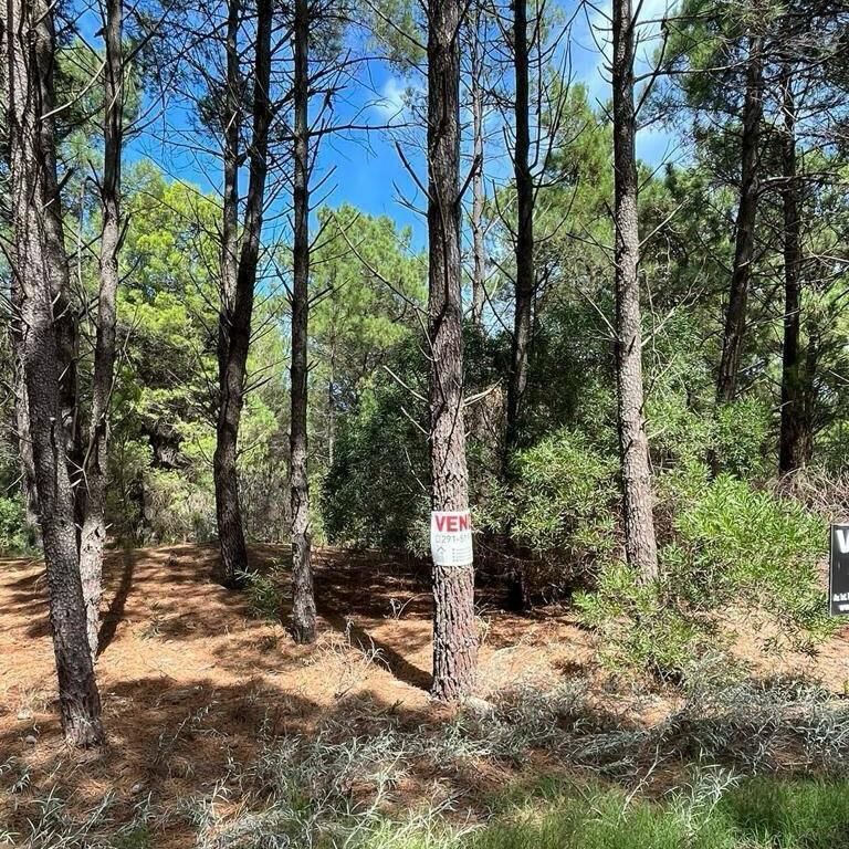 Terreno en Venta en BOSQUE ALEGRE, Pinar del Golf, Monte Hermoso - Bahía Blanca Propiedades | SITIO OFICIAL l