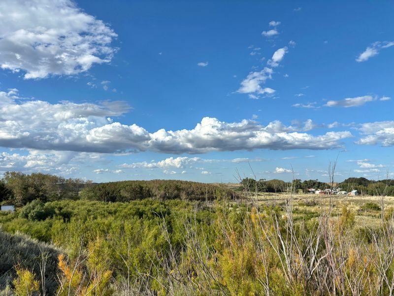 Terreno en Venta en Costanera Y Punta Indio, El Sauce, Monte Hermoso - Bahía Blanca Propiedades | SITIO OFICIAL l