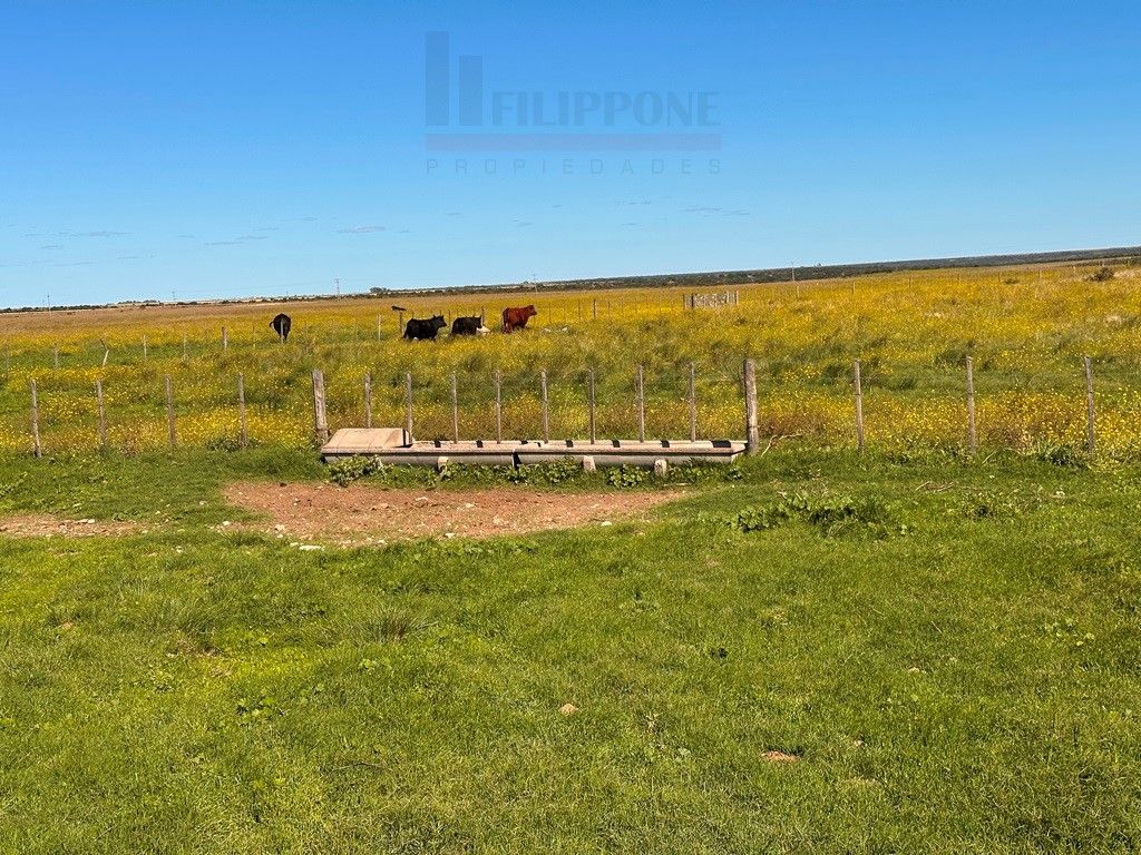 Campo  en Venta en Ruta 35 - Bahía Blanca Propiedades | SITIO OFICIAL l