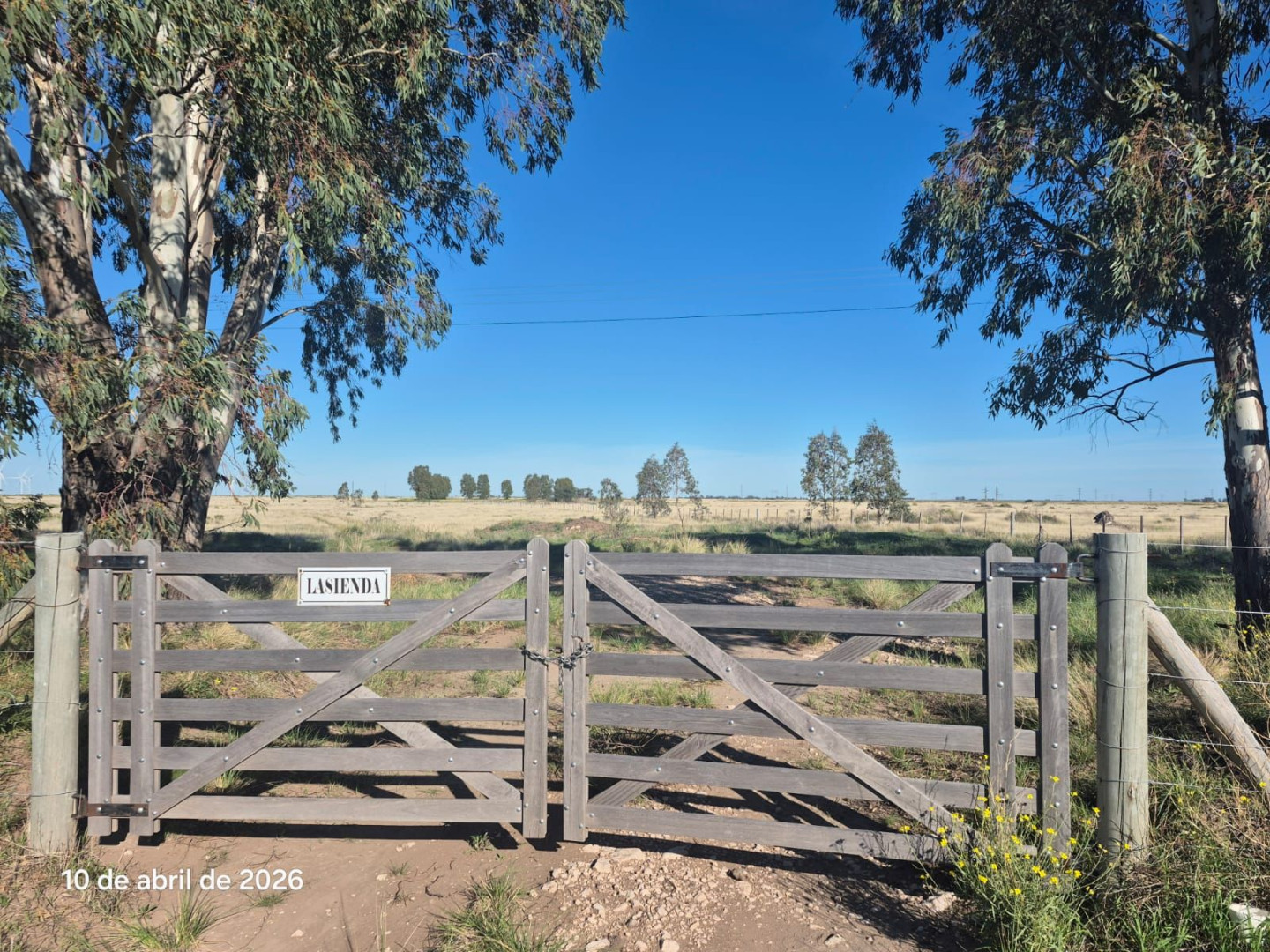 Campo  en Venta en Ruta 51 Km 722,  Bahía Blanca - Bahía Blanca Propiedades | SITIO OFICIAL l