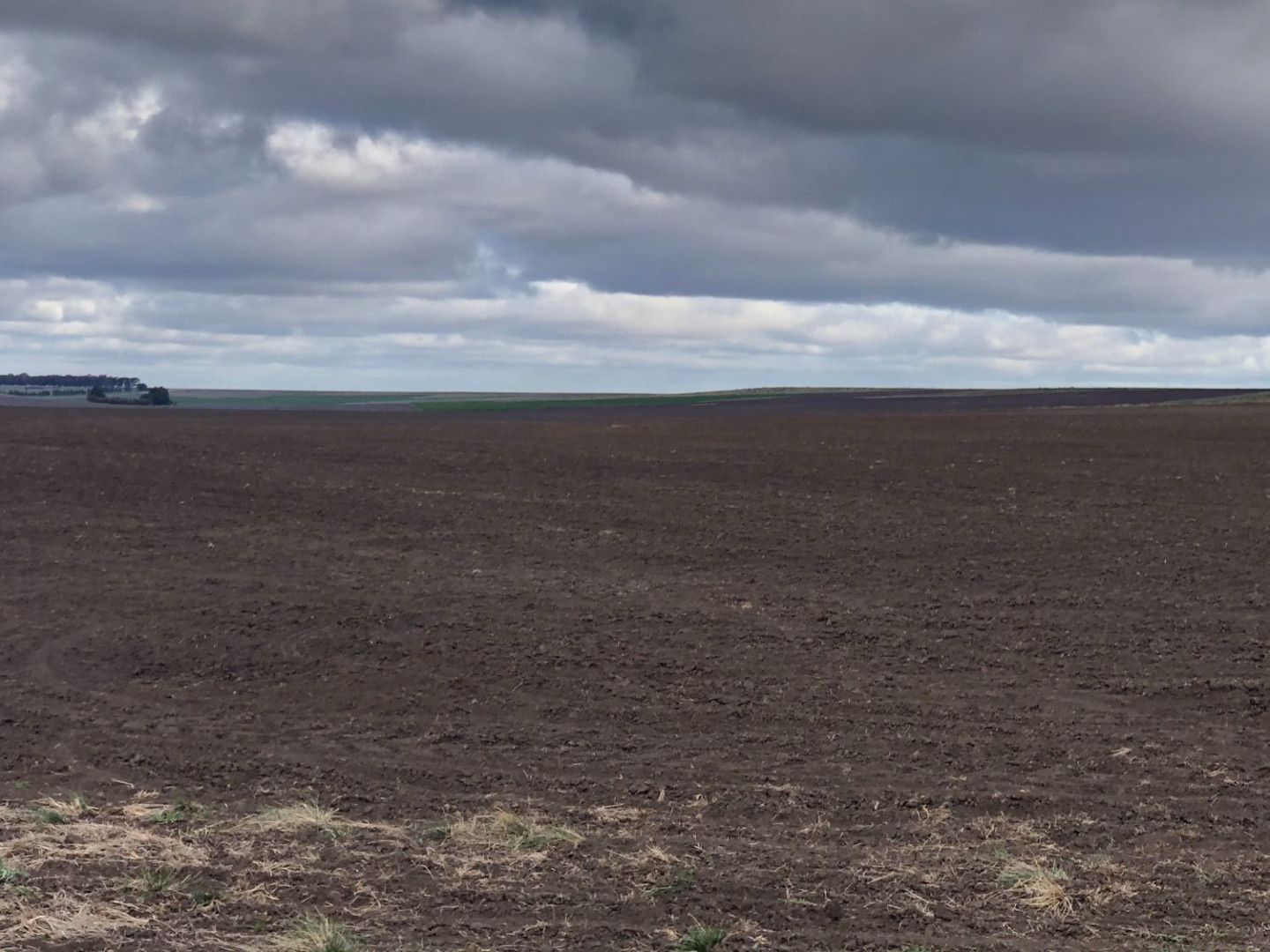 Campo  en Venta en Coronel Dorrego,  Coronel Dorrego - Bahía Blanca Propiedades | SITIO OFICIAL l