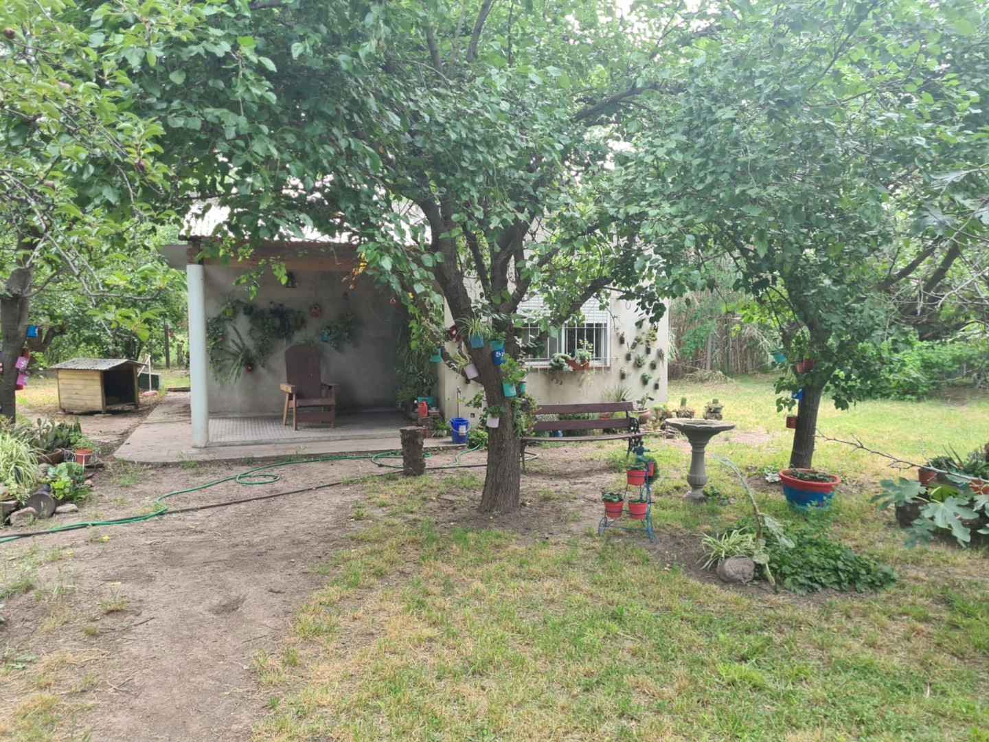 Casaquinta en Venta en General Artigas 600,  General Cerri - Bahía Blanca Propiedades | SITIO OFICIAL l