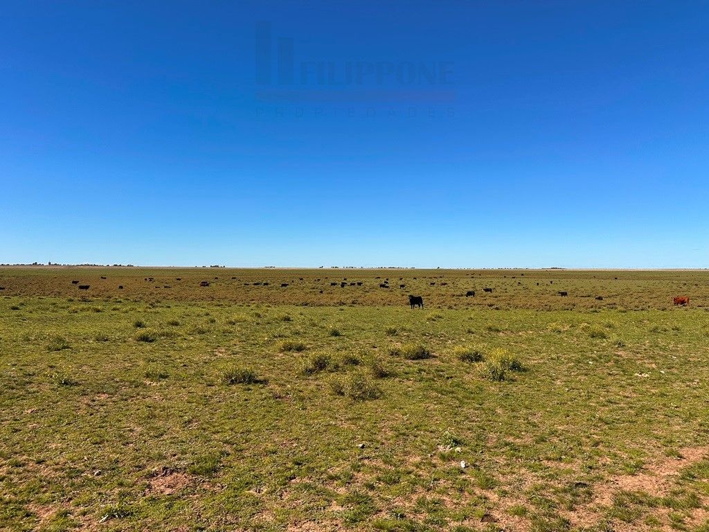 Campo  en Venta en Ruta 35 - Bahía Blanca Propiedades | SITIO OFICIAL l