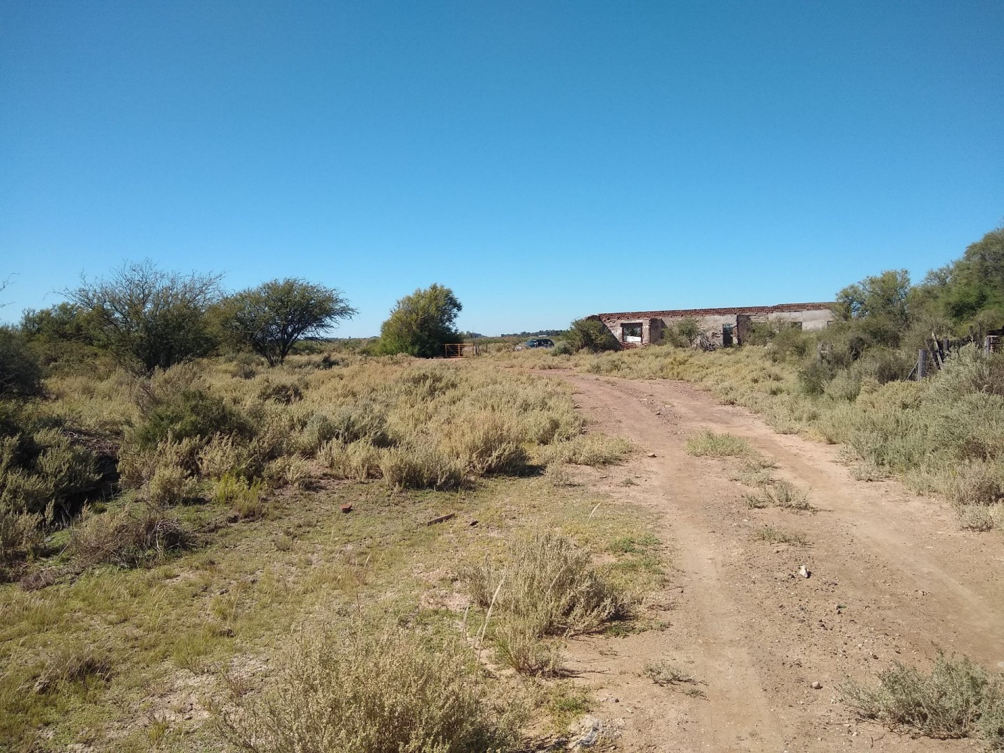 Terreno en Venta en Ruta 3 Km 701,  Bahía Blanca - Bahía Blanca Propiedades | SITIO OFICIAL l