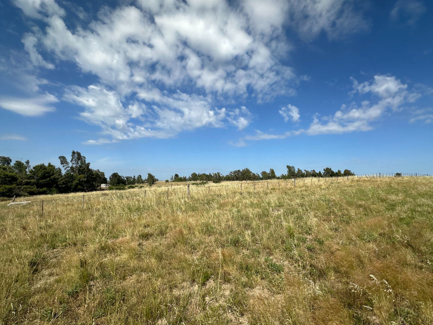 Terreno en Venta   Bahía Blanca - Bahía Blanca Propiedades | SITIO OFICIAL l