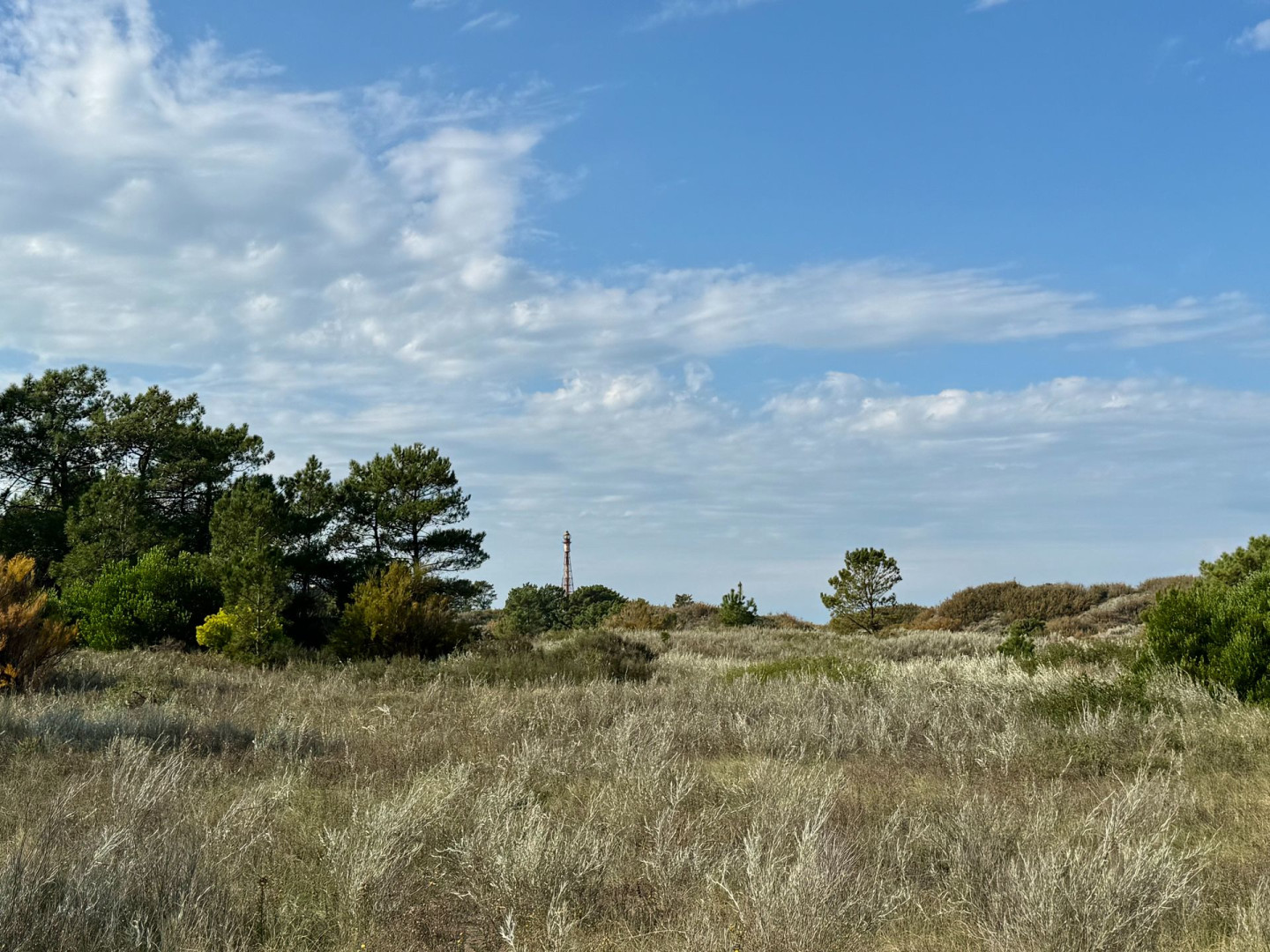 Terreno en Venta en Flamencos Y Martinetas, Monte del Este, Monte Hermoso - Bahía Blanca Propiedades | SITIO OFICIAL l