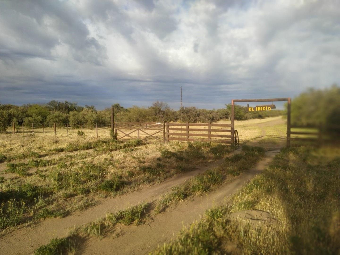 Campo  en Venta en Hucal-La Pampa,  Bahía Blanca - Bahía Blanca Propiedades | SITIO OFICIAL l