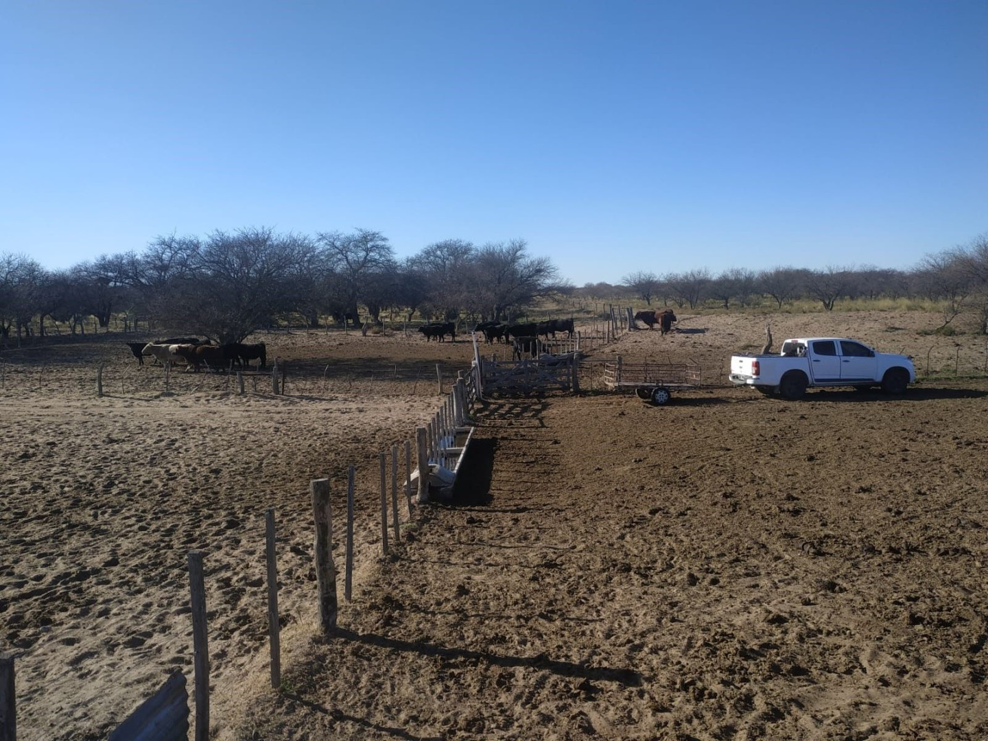 Campo  en Venta   Bernasconi - Bahía Blanca Propiedades | SITIO OFICIAL l
